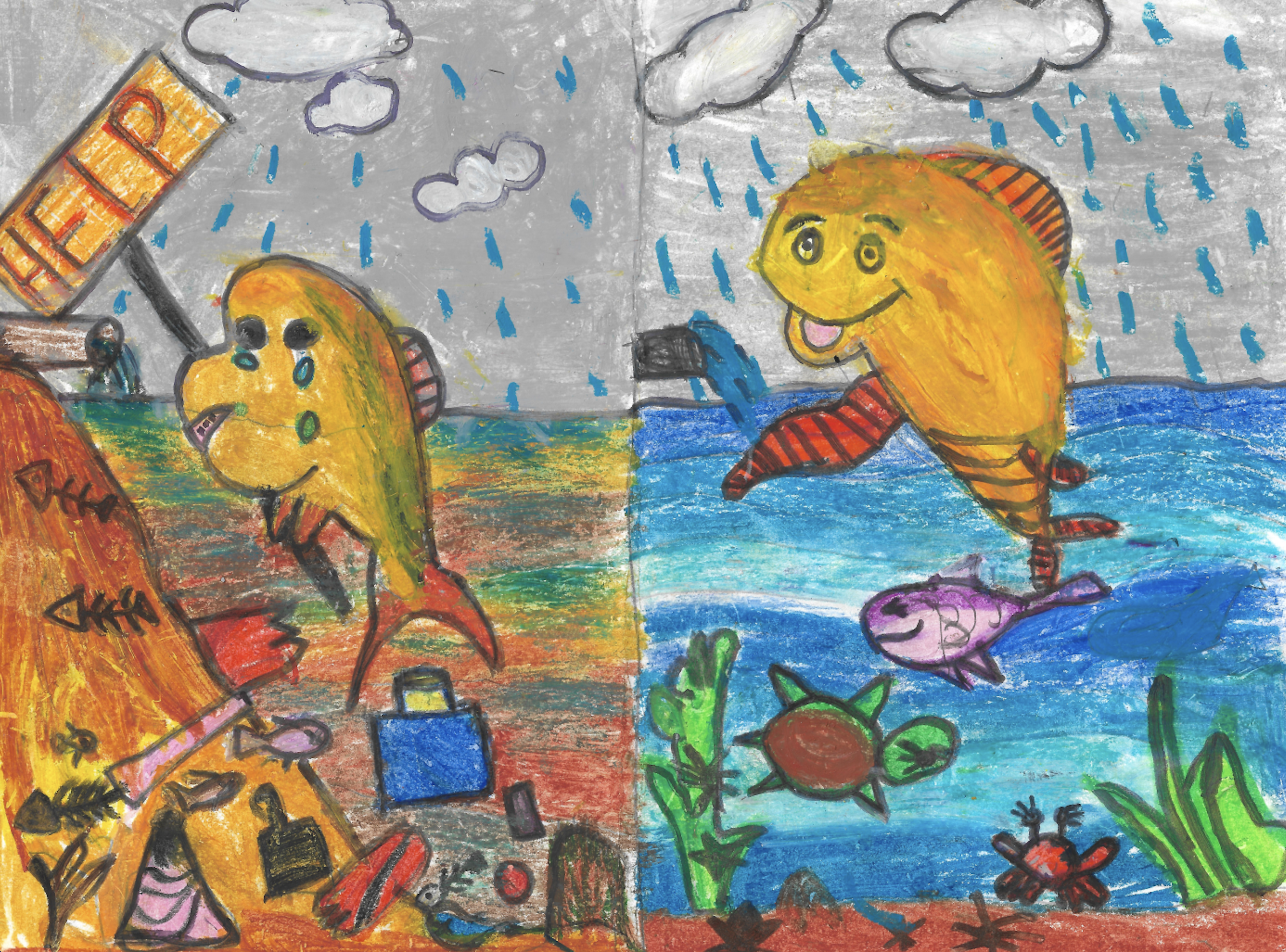 Elementary School Winner